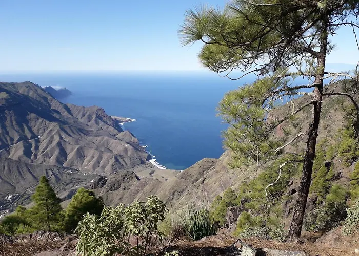 Taidia Tropical * Maspalomas (Gran Canaria)
