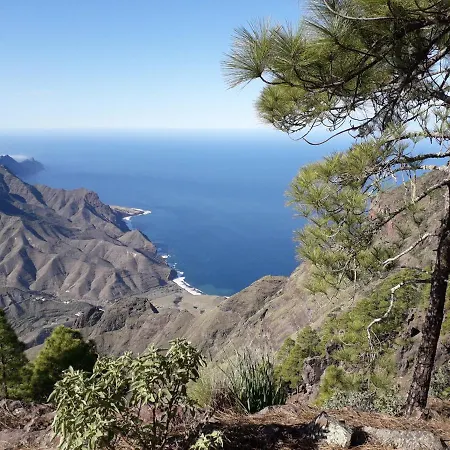 Taidia Tropical * Maspalomas (Gran Canaria)